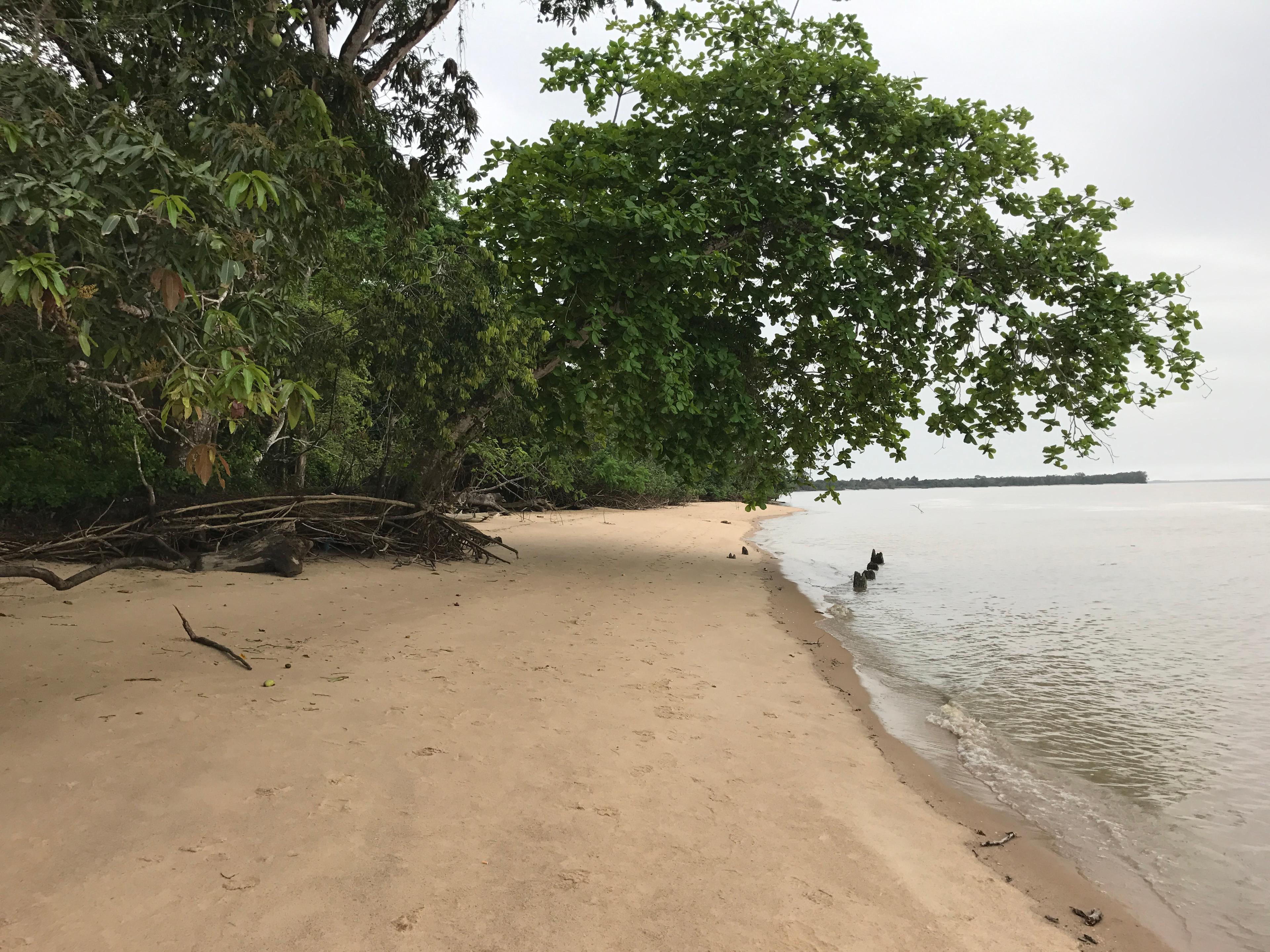 Littoral Awala Yalimapo