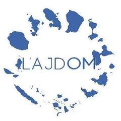 Logo AJDOM
